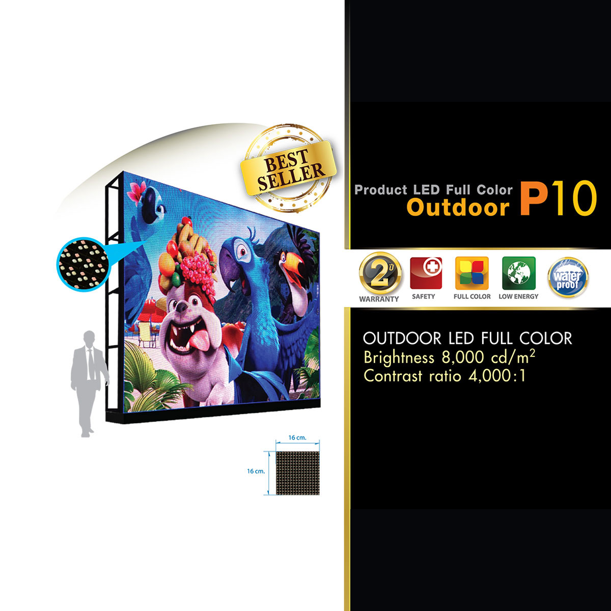 LED Display Outdoor P10