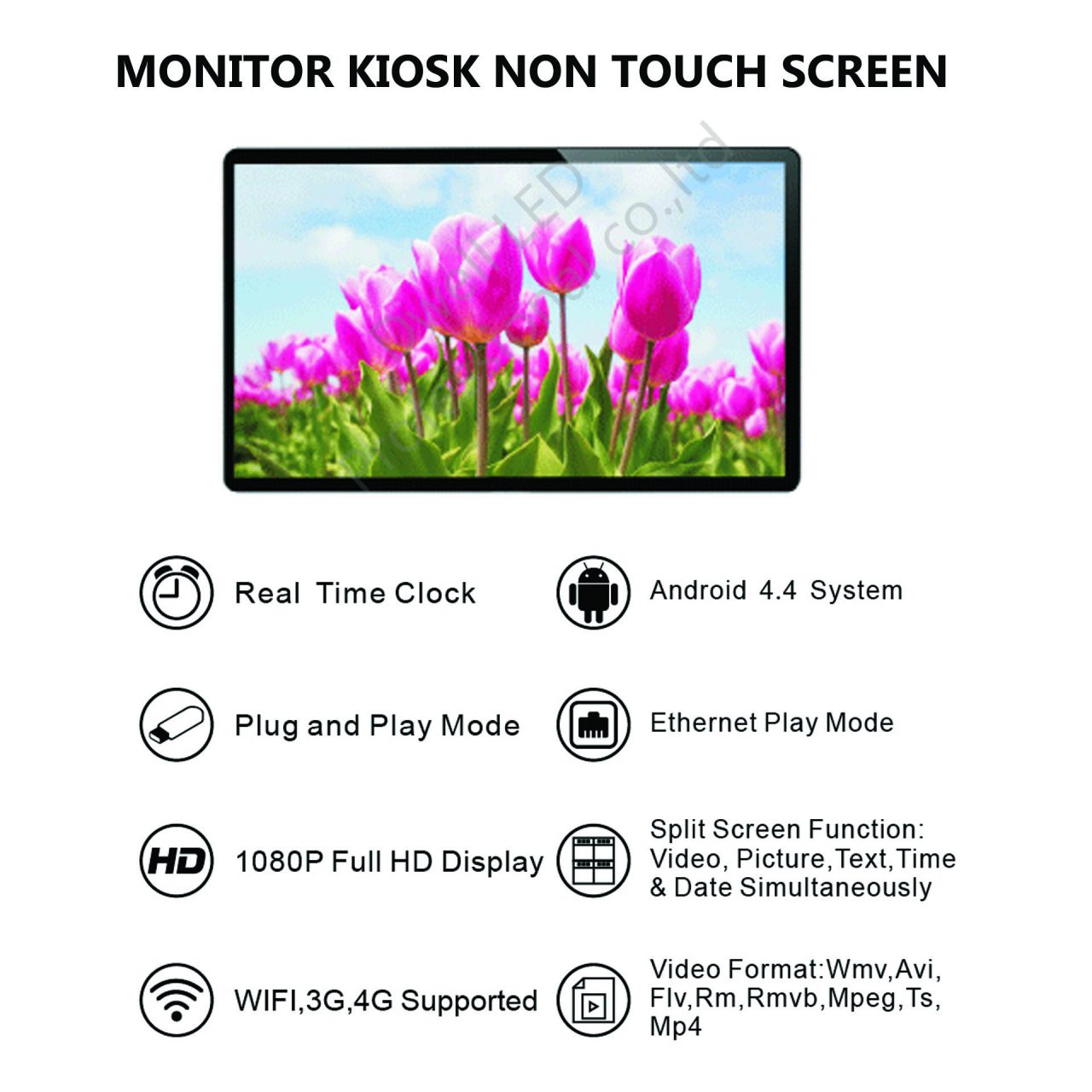 KIOSK 49”
