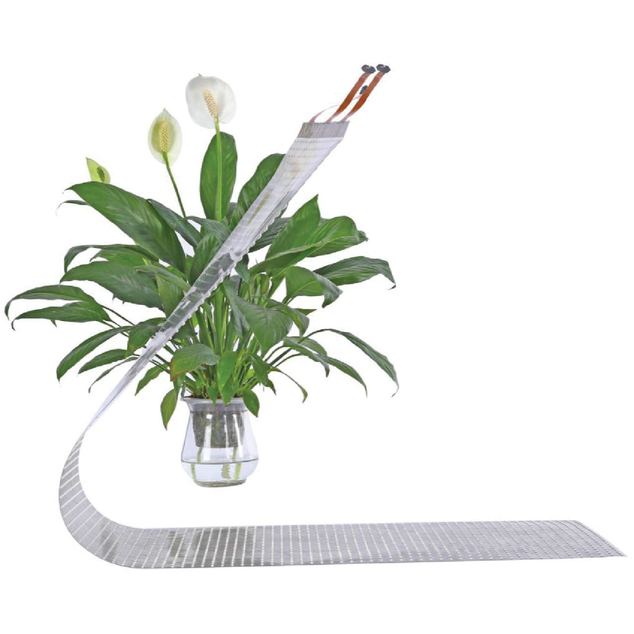 LED FLEXIBLE FILM SCREEN