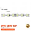 แอลอีดี เอส-สตริป DMS-2835-120