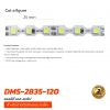 แอลอีดี เอส-สตริป DMS-2835-120